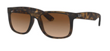 RAY-BAN JUSTIN RB4165 710/13