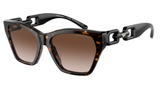 EMPORIO ARMANI EA4203U 50261