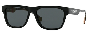 BE4293 377381 Polarized