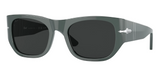 PO3308S 117348 Polarized