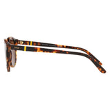 POLO PH4151 535173 NEW JERRY TORTOISE/BROWN 50 21