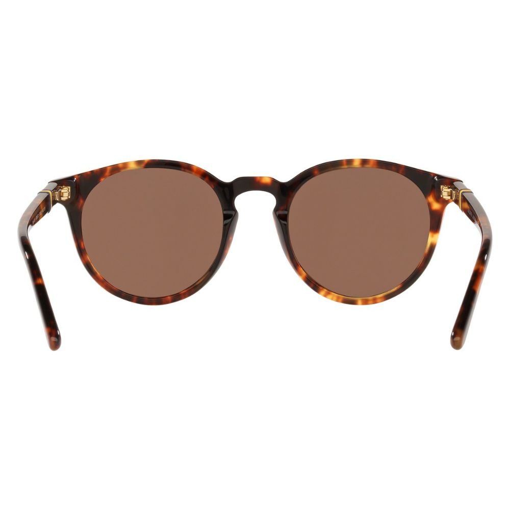 POLO PH4151 535173 NEW JERRY TORTOISE/BROWN 50 21