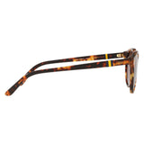 POLO PH4151 535173 NEW JERRY TORTOISE/BROWN 50 21